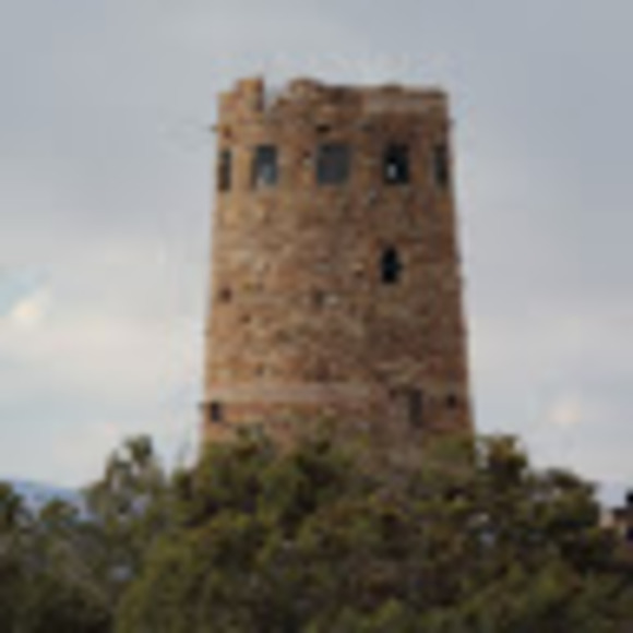 Meet your Posher, Piper - Picture 1 of 1